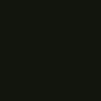 PRETO OURO NEGRO